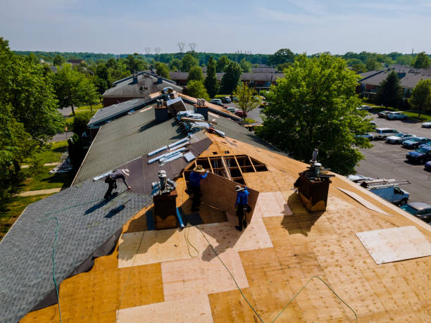 Best Storm Damage Roof Repair  in Dorr, MI