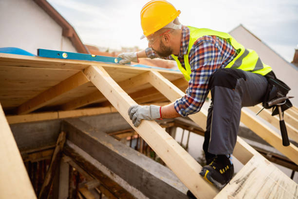 Best Roof Maintenance Services  in Dorr, MI