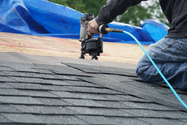 Best Roof Gutter Cleaning  in Dorr, MI